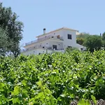 Apartamento Vine Ridge And