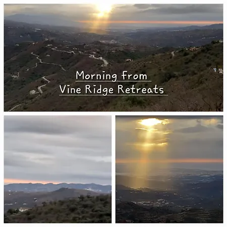 Vine Ridge And * Comares