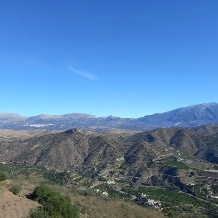 Vine Ridge And *