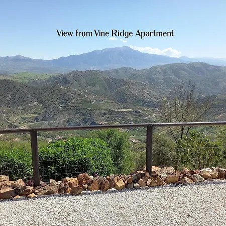 Vine Ridge And * Comares