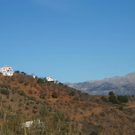 Apartment Vine Ridge And *