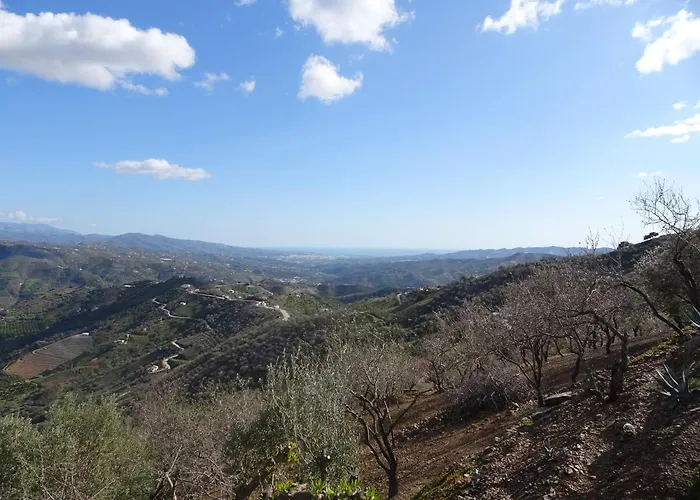 Apartment Vine Ridge And *