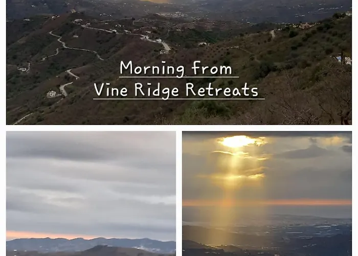 Vine Ridge And * Comares