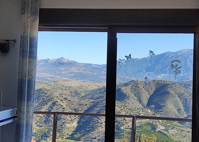Vine Ridge And Apartment