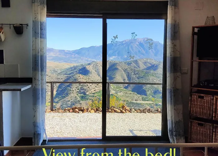 Vine Ridge And Apartment *
