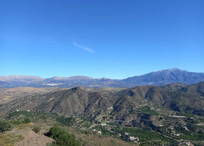 Vine Ridge And *
