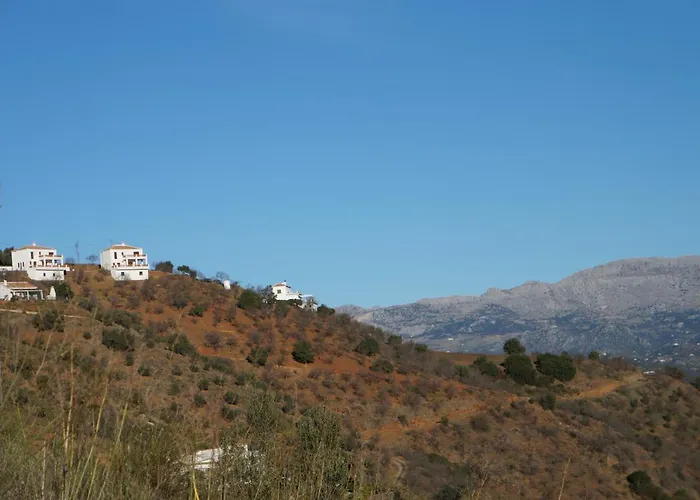 Apartment Vine Ridge And *